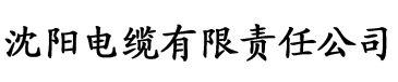 小青楼上小青楼在线电缆厂logo